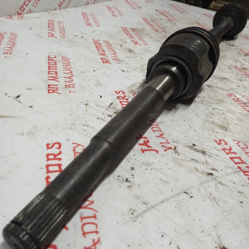 Привод, 6000 рублей, Владимир