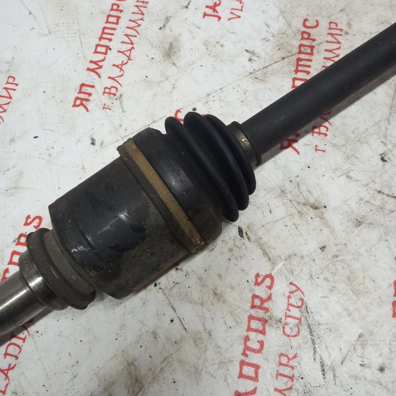 Привод, 6000 рублей, Владимир