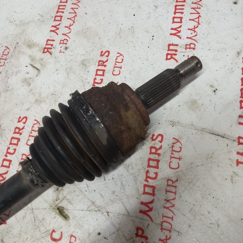 Привод, 6000 рублей, Владимир