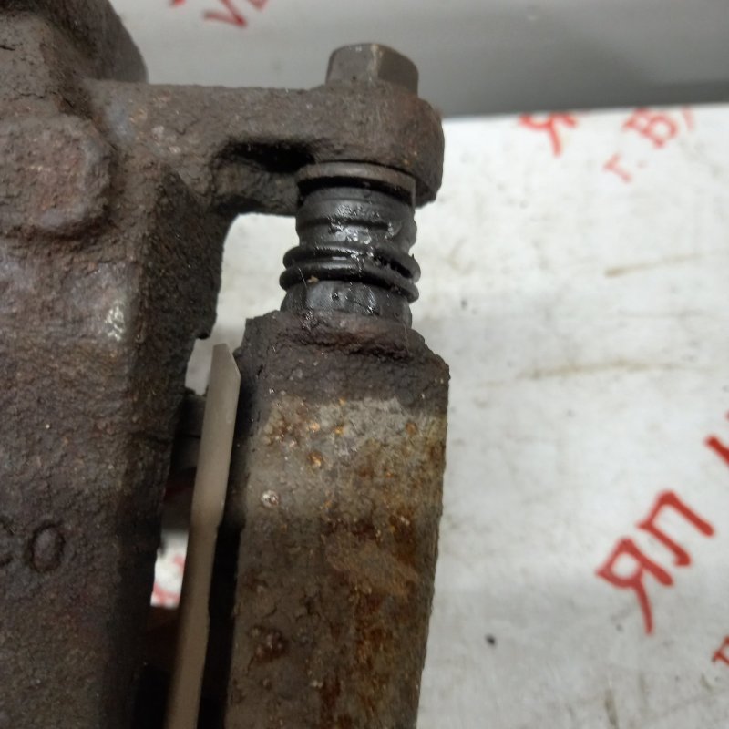 Суппорт тормозной, 2000 рублей, Владимир