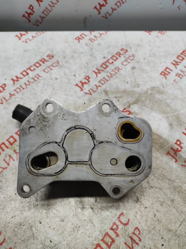 Теплообменник масляного фильтра, 1000 рублей, Владимир