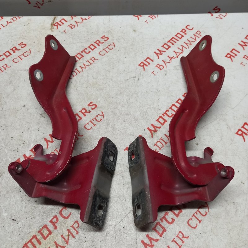 Петля капота, 1000 рублей, Владимир