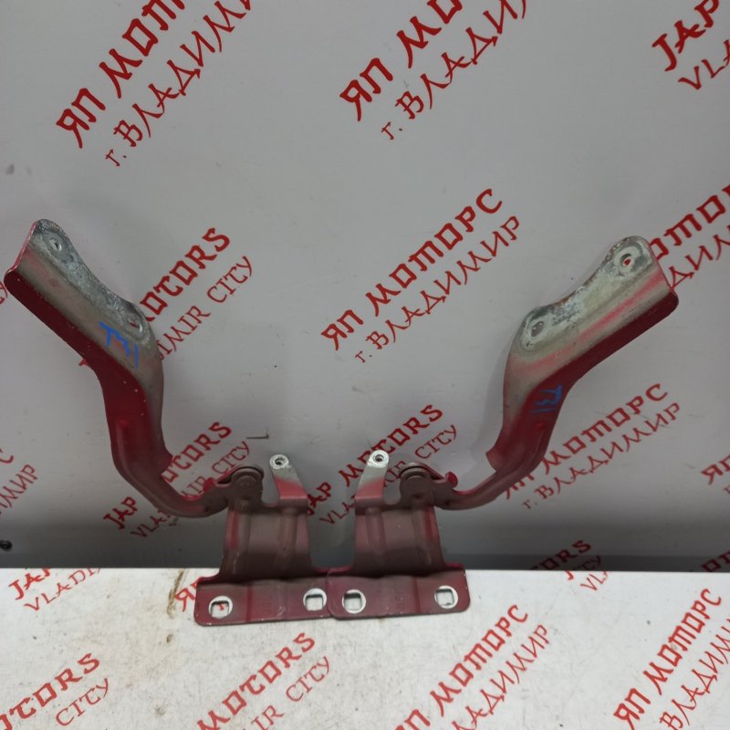 Петля капота, 1000 рублей, Владимир