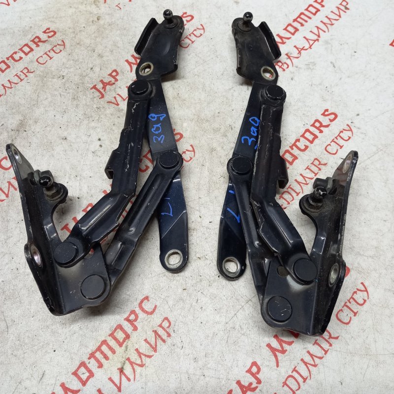 Петля крышки багажника, 1000 рублей, Владимир