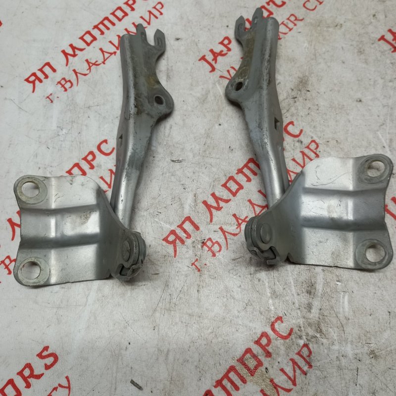 Петля капота, 1000 рублей, Владимир