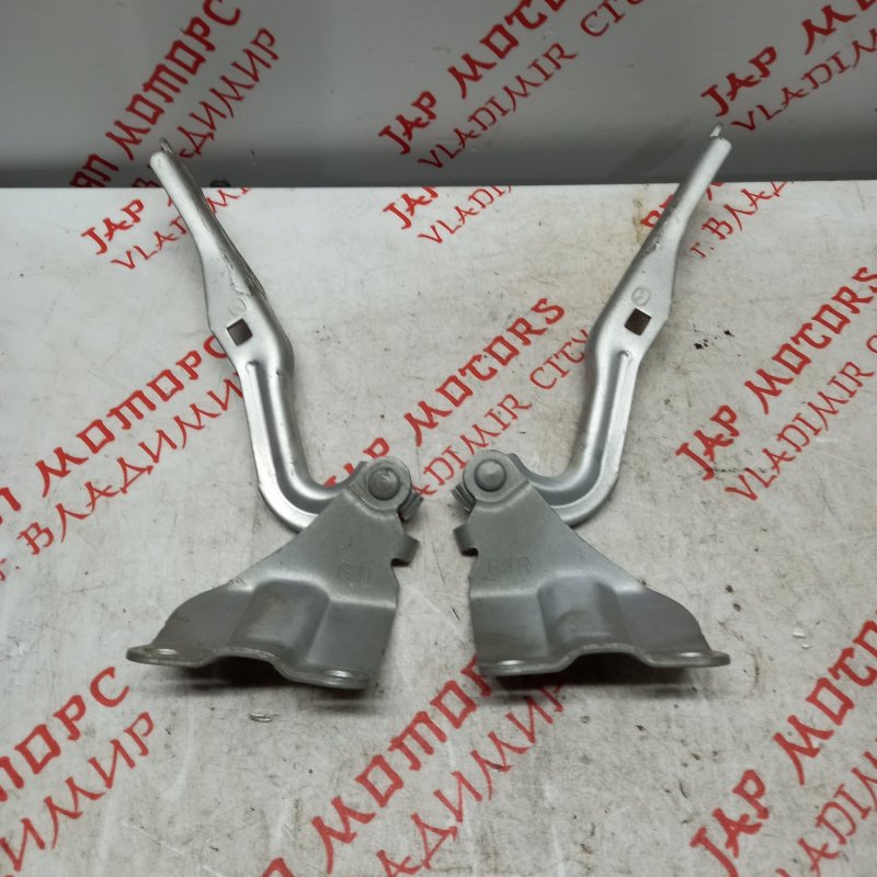 Петля капота, 1000 рублей, Владимир