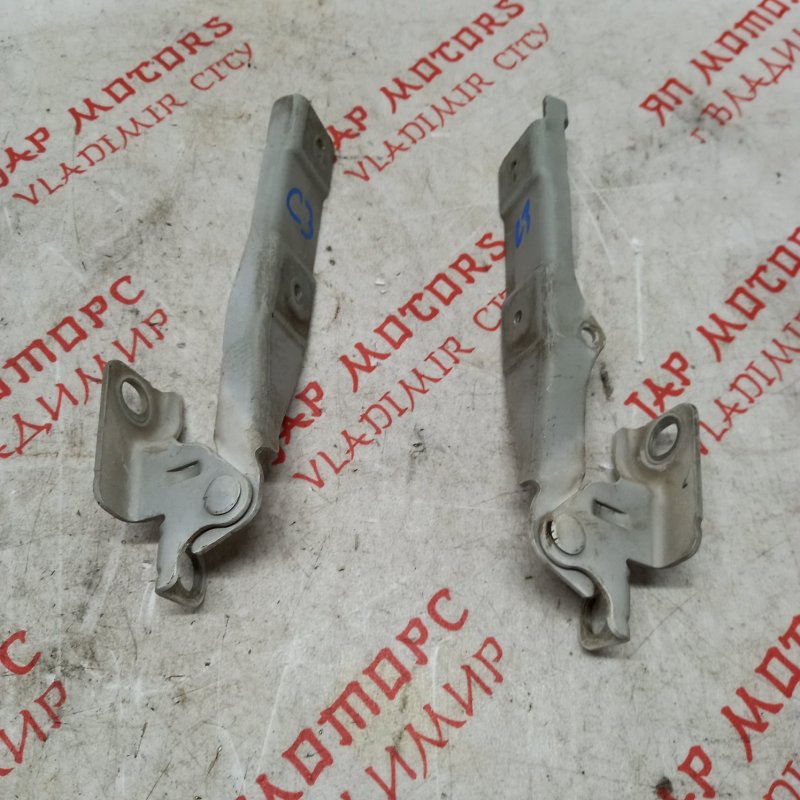 Петля капота, 1000 рублей, Владимир