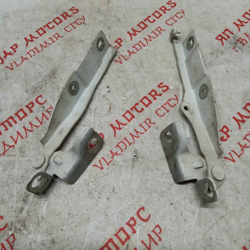 Петля капота, 1000 рублей, Владимир