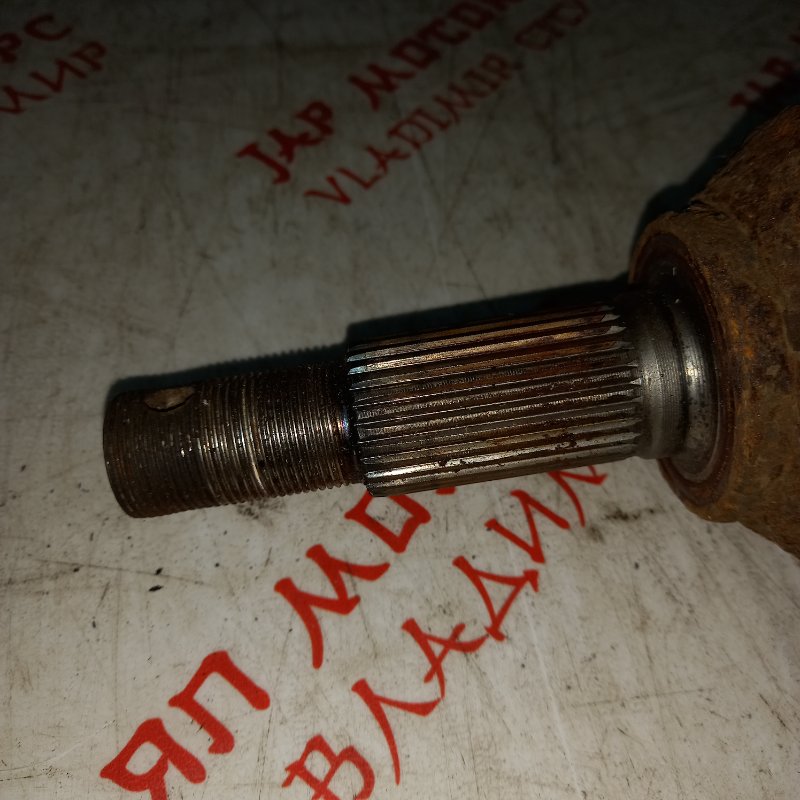 Привод, 10000 рублей, Владимир