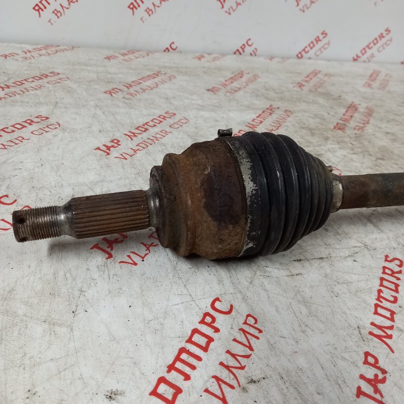 Привод, 10000 рублей, Владимир