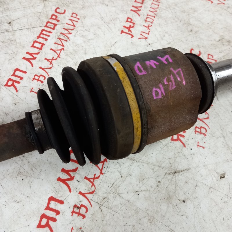 Привод, 10000 рублей, Владимир