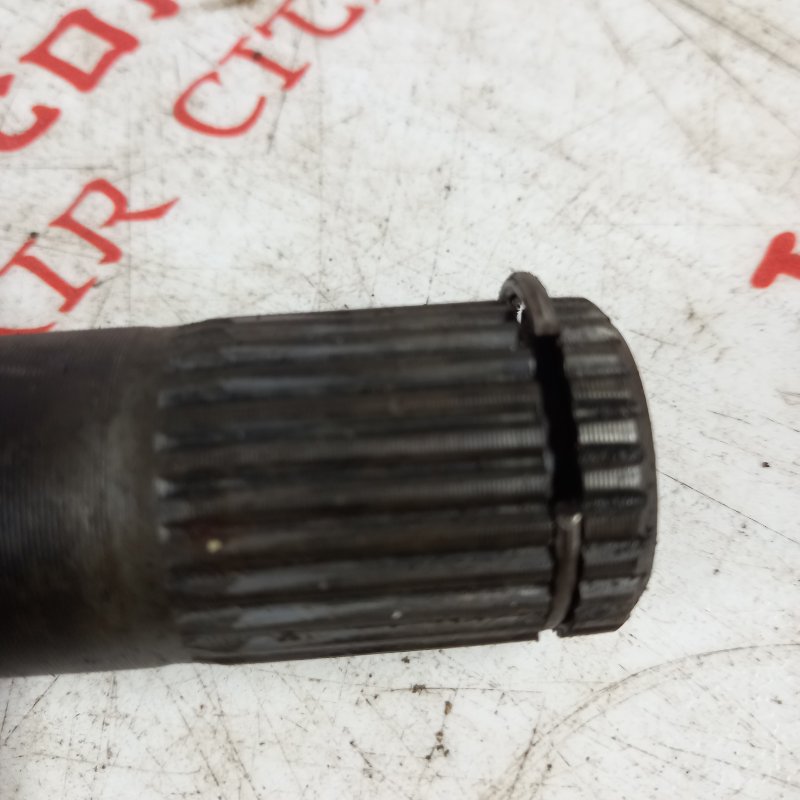 Привод, 10000 рублей, Владимир