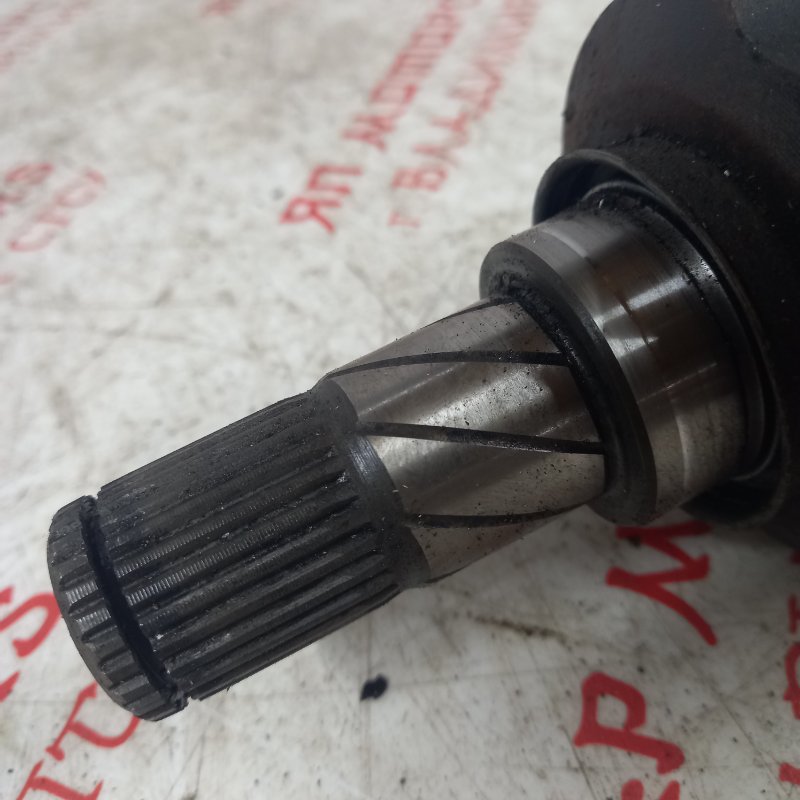 Привод, 7000 рублей, Владимир