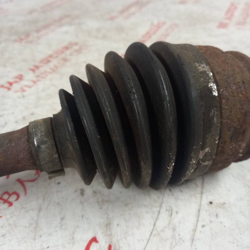 Привод, 7000 рублей, Владимир