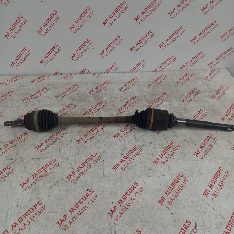 Привод, 9000 рублей, Владимир