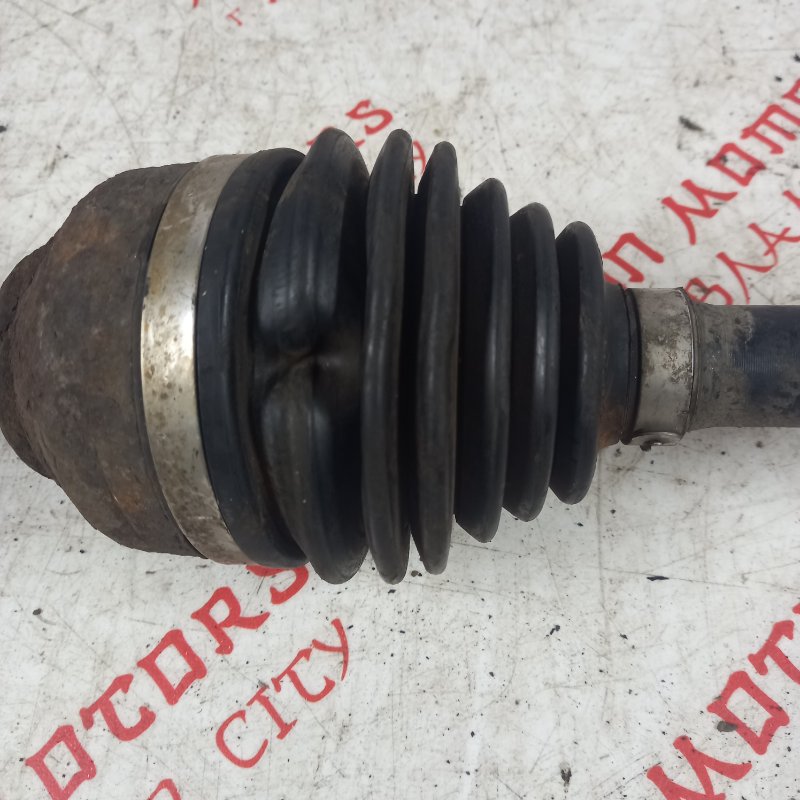 Привод, 6000 рублей, Владимир