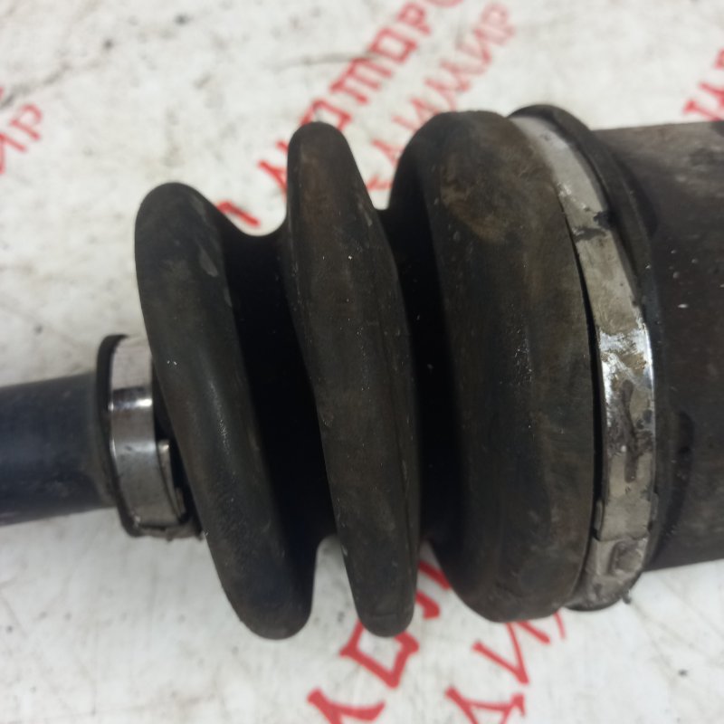 Привод, 6000 рублей, Владимир