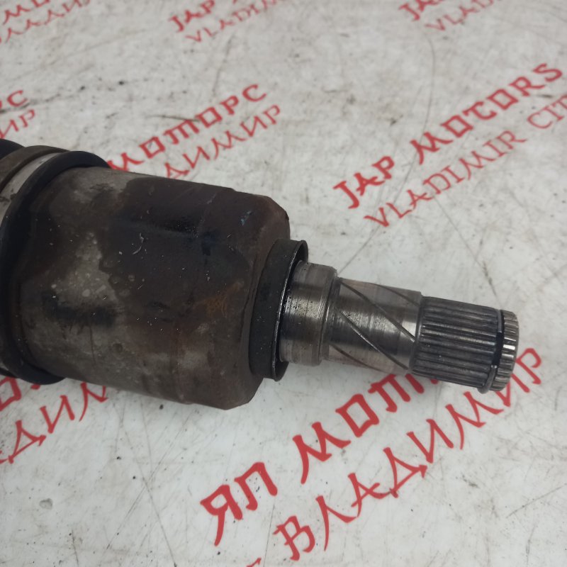 Привод, 6000 рублей, Владимир