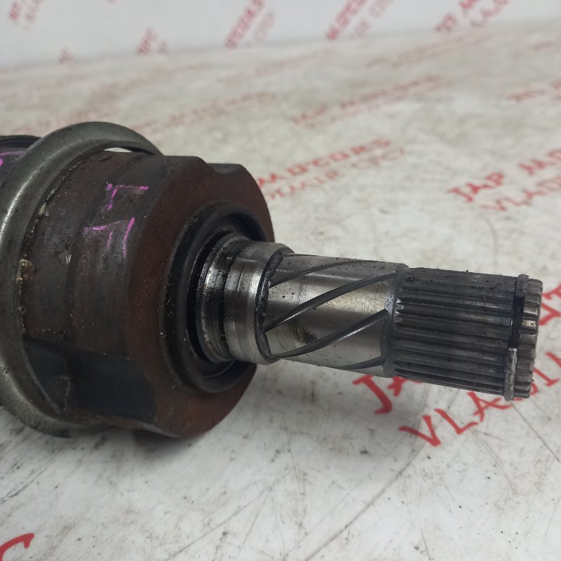 Привод, 6000 рублей, Владимир