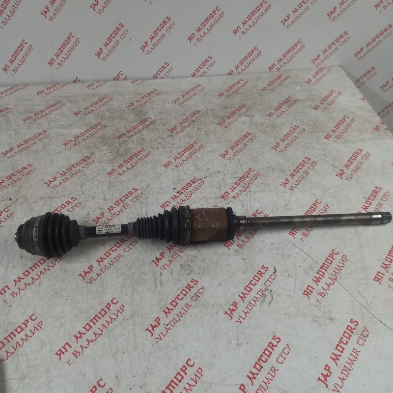 Привод, 8500 рублей, Владимир