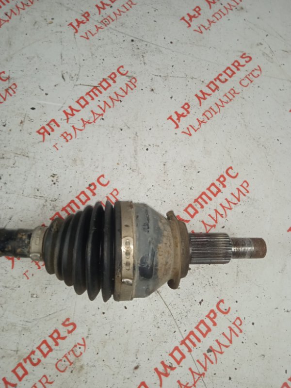 Привод, 10000 рублей, Владимир