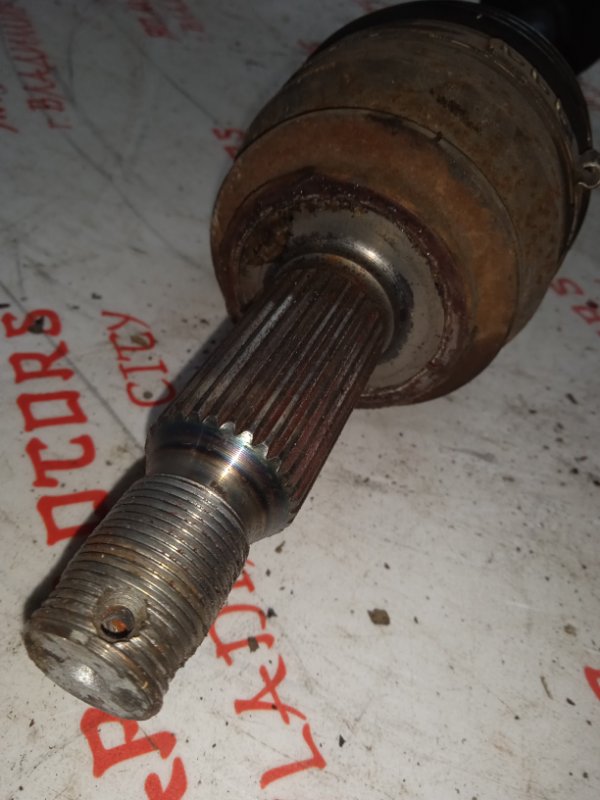 Привод, 4000 рублей, Владимир