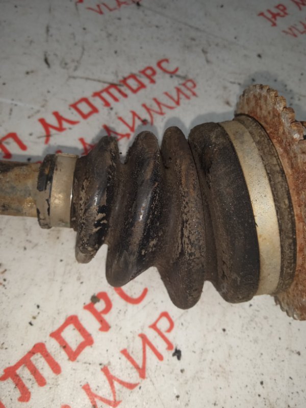 Привод, 2500 рублей, Владимир