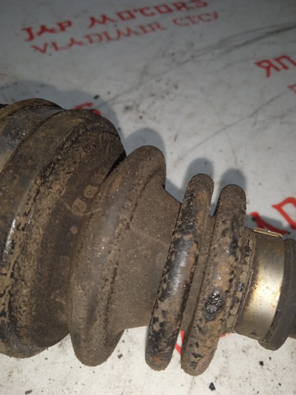 Привод, 2500 рублей, Владимир