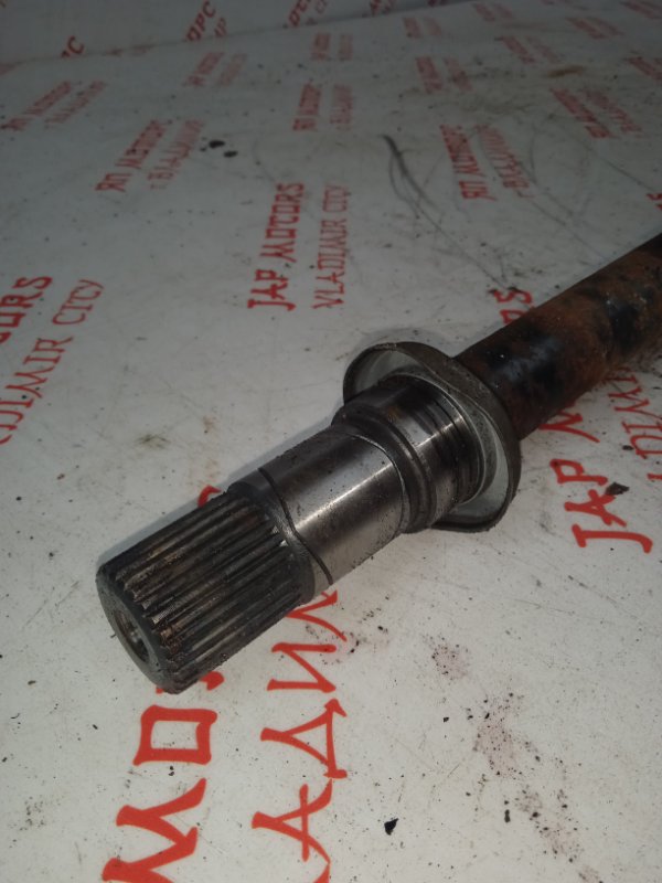 Привод, 8000 рублей, Владимир