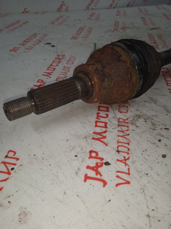 Привод, 4000 рублей, Владимир