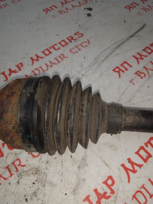 Привод, 4000 рублей, Владимир