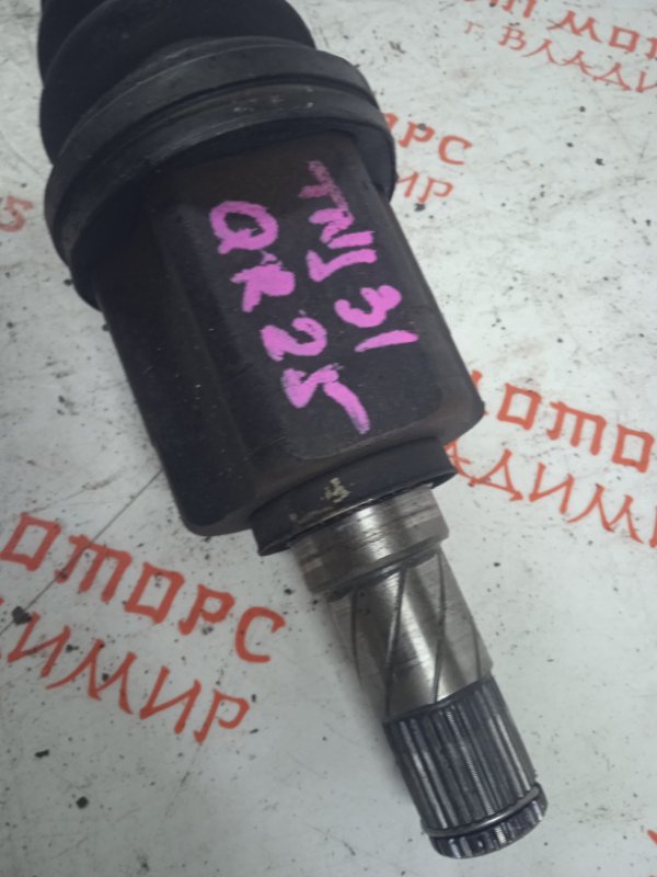 Привод, 7000 рублей, Владимир