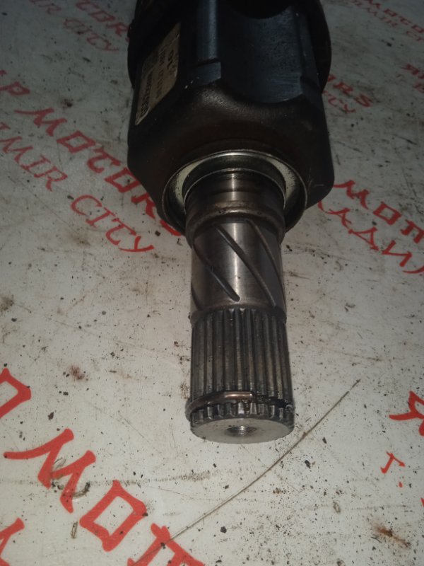 Привод, 5000 рублей, Владимир