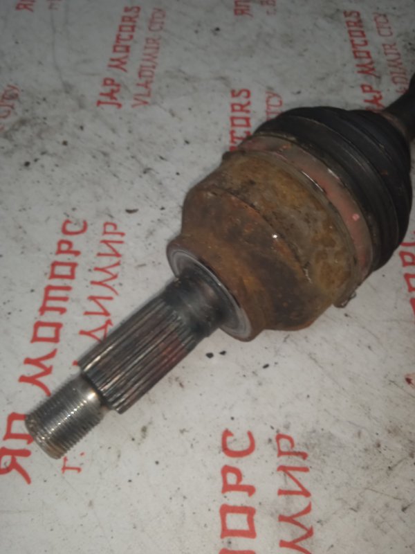 Привод, 5000 рублей, Владимир