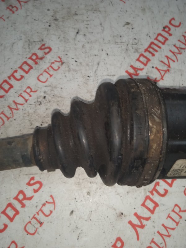 Привод, 5000 рублей, Владимир