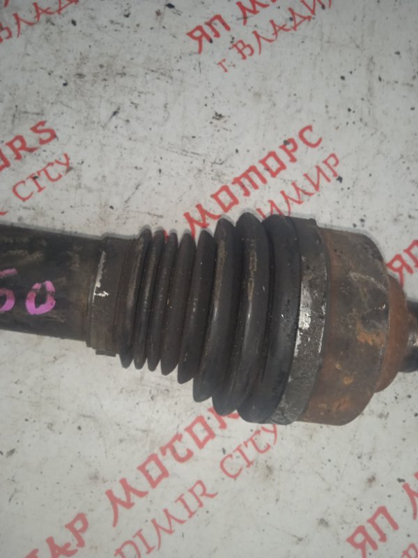 Привод, 9000 рублей, Владимир