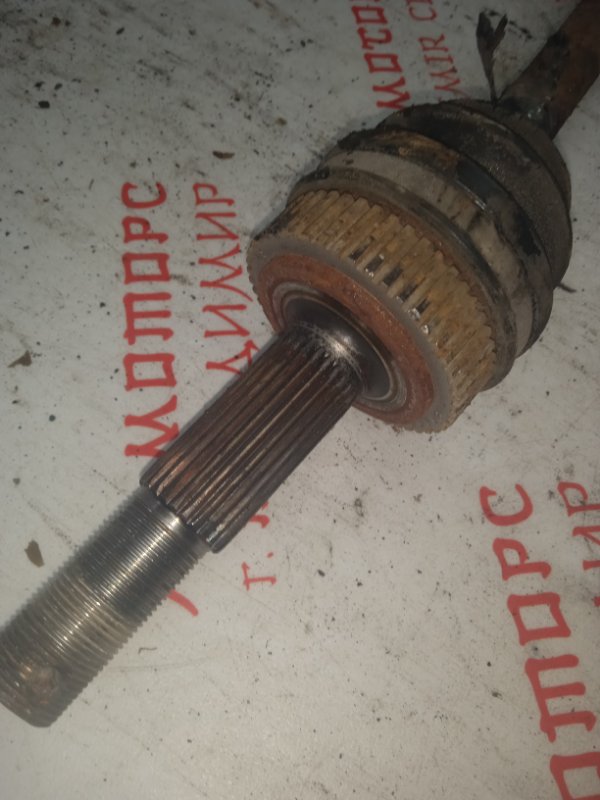 Привод, 3000 рублей, Владимир