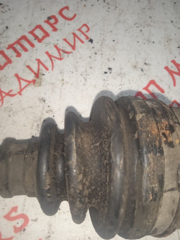 Привод, 3000 рублей, Владимир