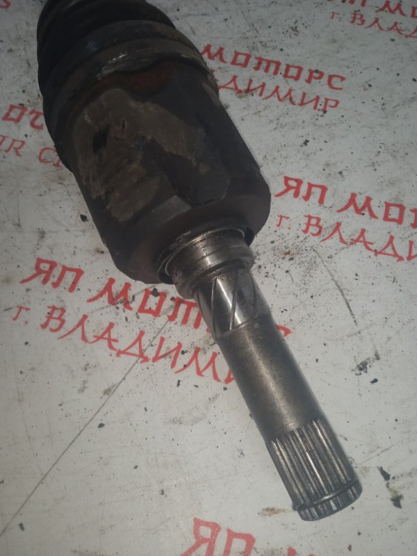 Привод, 5000 рублей, Владимир