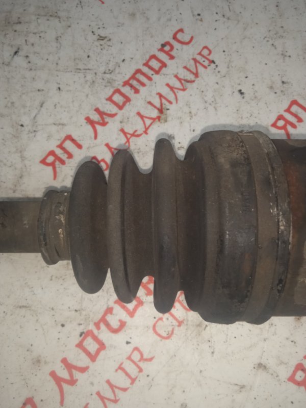 Привод, 5000 рублей, Владимир