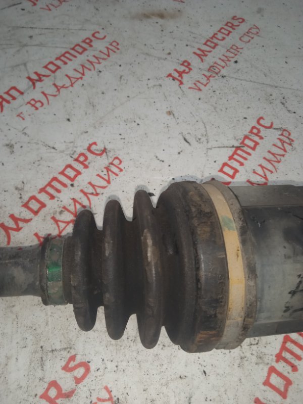 Привод, 5000 рублей, Владимир