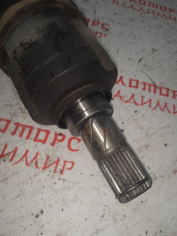 Привод, 5000 рублей, Владимир