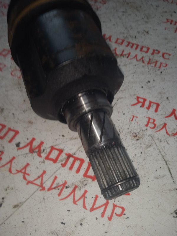 Привод, 5000 рублей, Владимир