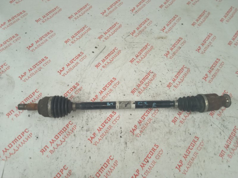 Привод, 4500 рублей, Владимир