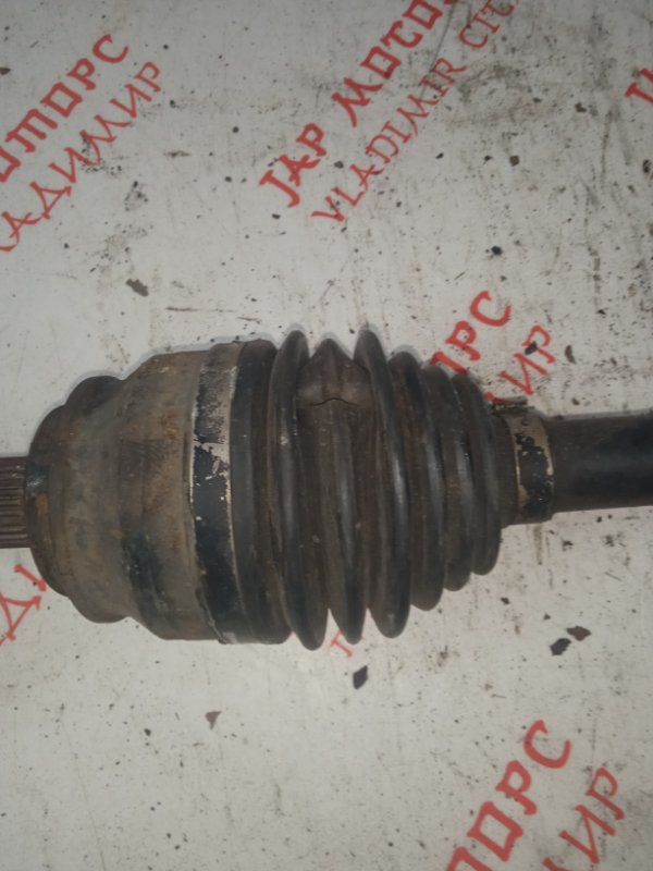 Привод, 9000 рублей, Владимир