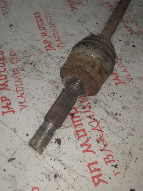 Привод, 3000 рублей, Владимир