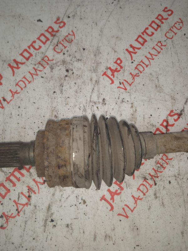 Привод, 3000 рублей, Владимир