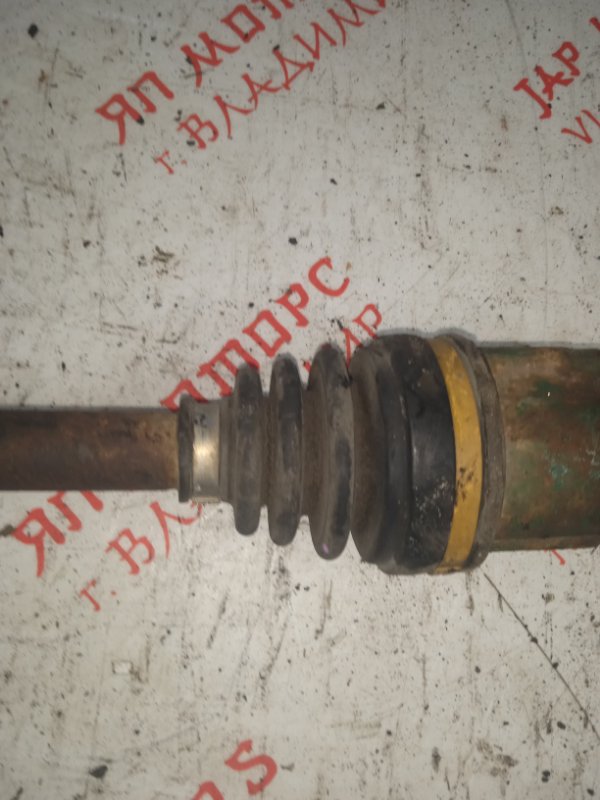 Привод, 3000 рублей, Владимир