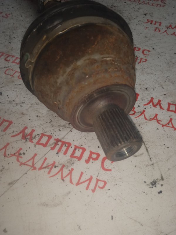 Привод, 4000 рублей, Владимир