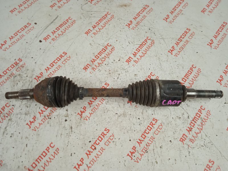 Привод, 10000 рублей, Владимир